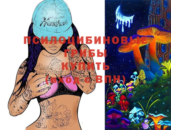 дурь Алексеевка