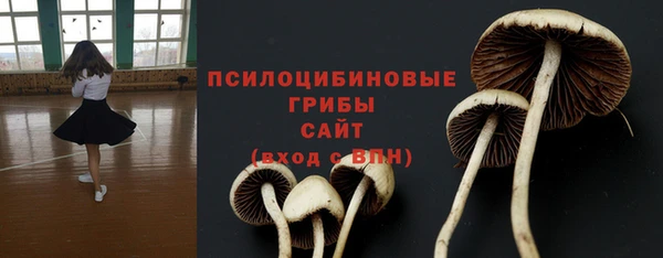 дурь Алексеевка