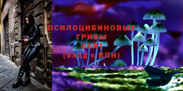 mix Алексин