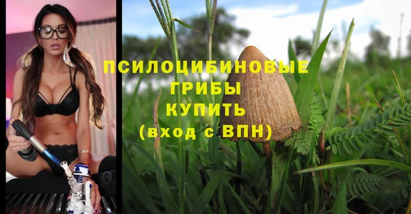 прущая мука Алзамай
