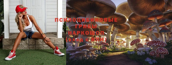 дурь Алексеевка